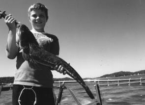Luke with a lovely flathead caught on a prawn meant for a bream while drifting near Mackeral Beach.